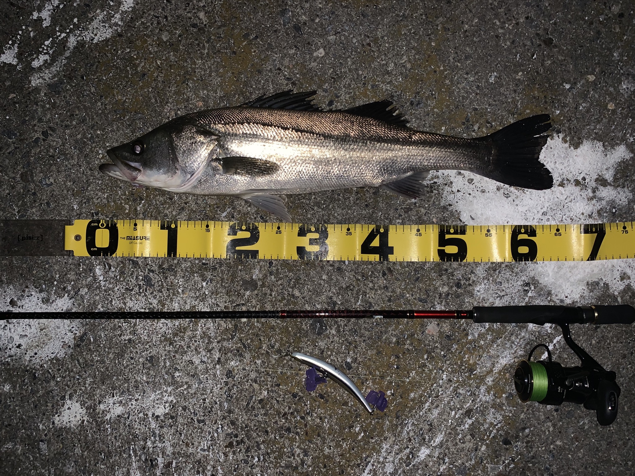 りーちゃんずぱぱ様のレポート アレス（ARES） エギング・アジング・ジギング ルアーロッドの製造・販売