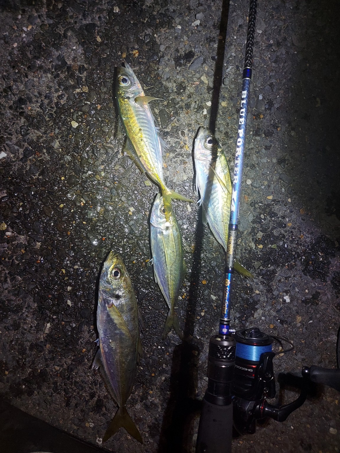 ＆RC ボーダープルオーバー ブルー Curensology(カレンソロジー)/＜&RC＞ボーダープルオーバー（T