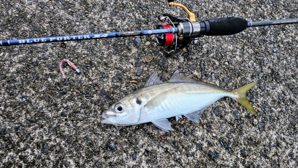 ユカリ様のレポート