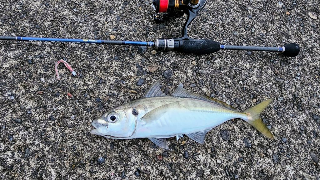 ユカリ様のレポート