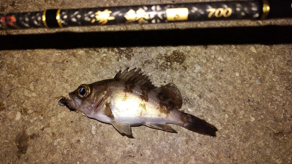 T&A前田慎悟様のレポート