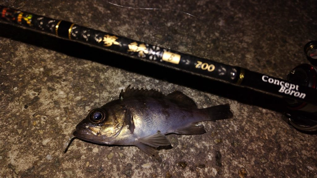 T&A前田慎悟様のレポート