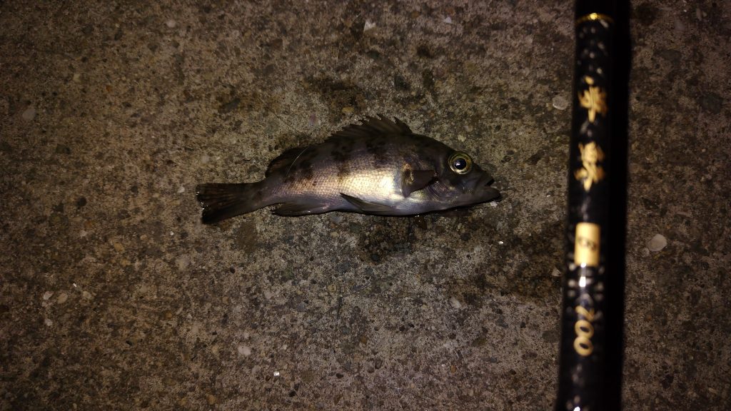 T&A前田慎悟様のレポート