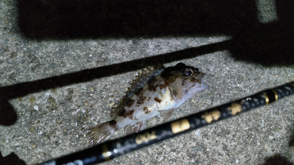 T&A前田慎悟様のレポート