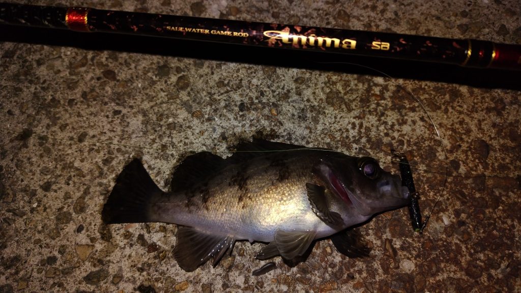 T&A前田慎悟様のレポート