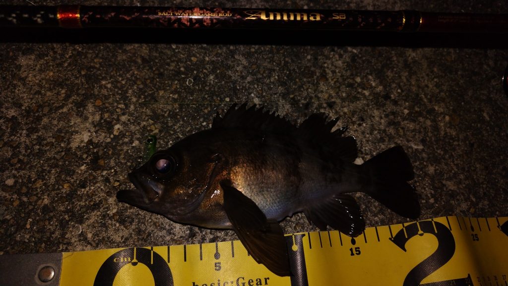 T&A前田慎悟様のレポート