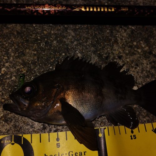 T&A前田慎悟様のレポート