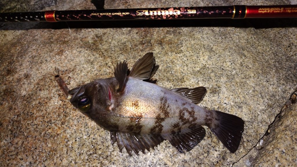 T&A前田慎悟様のレポート