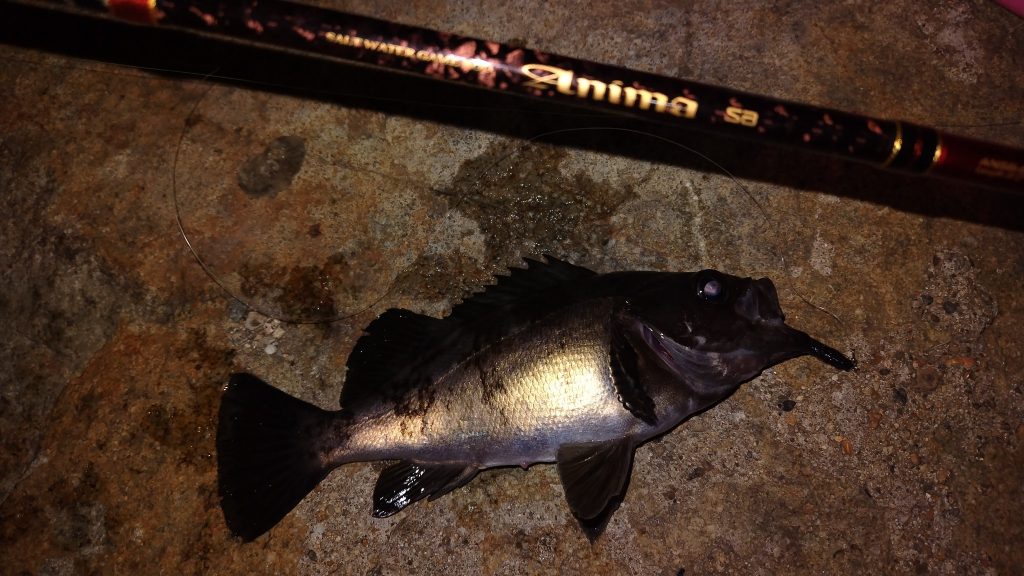 T&A前田慎悟様のレポート