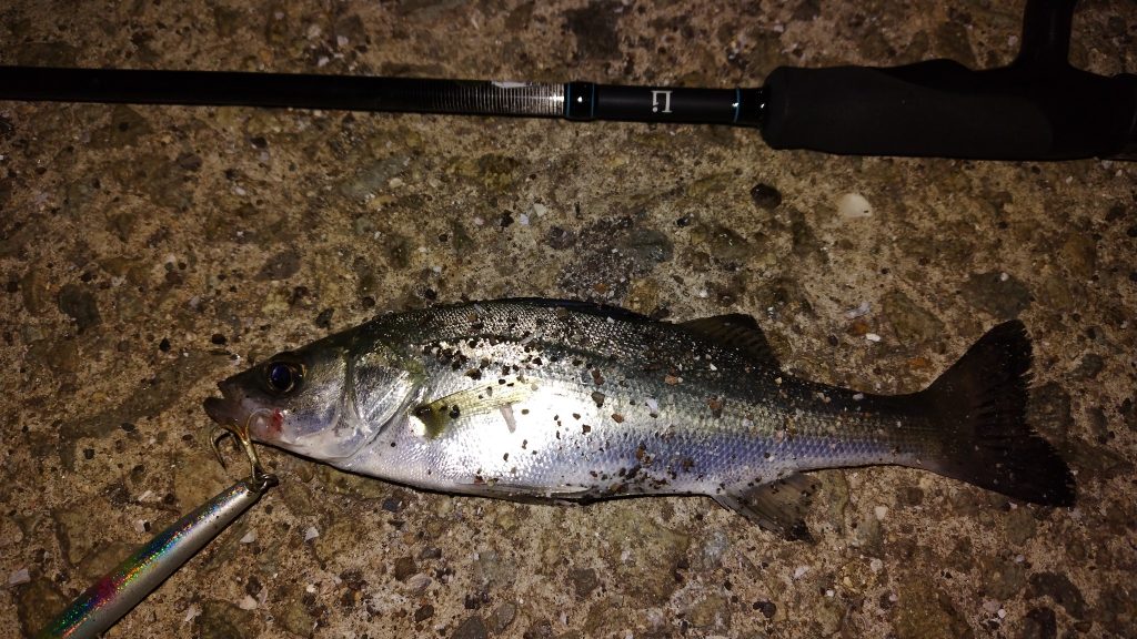 T&A前田慎悟様のレポート