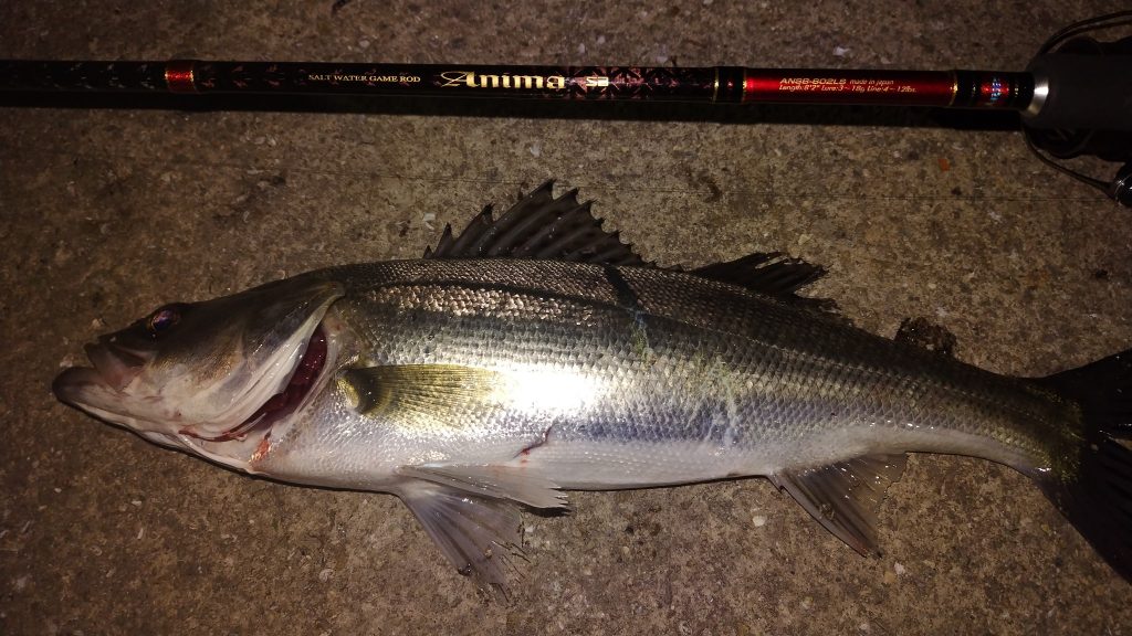 T&A前田慎悟様のレポート