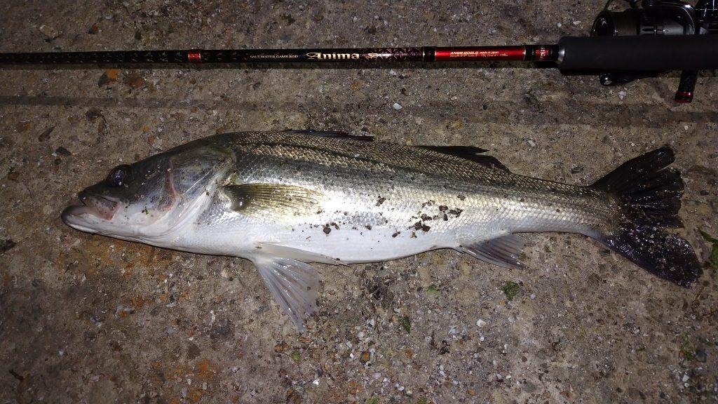 T&A前田慎悟様のレポート