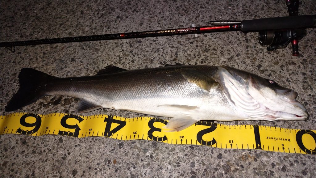 T&A前田慎悟様のレポート