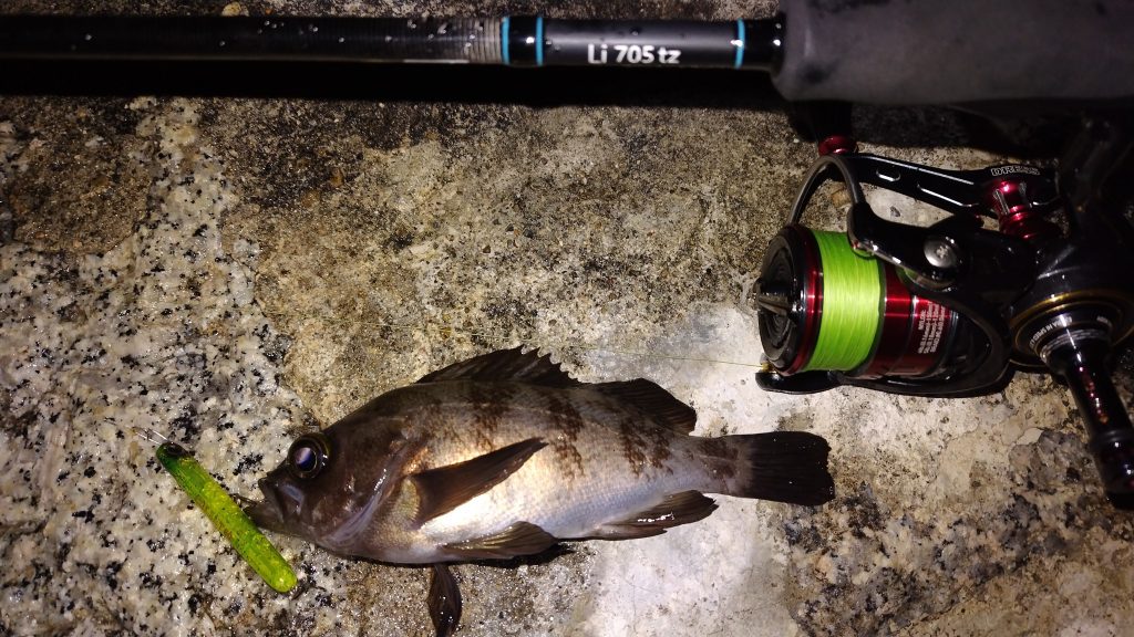 T&A前田慎悟様のレポート