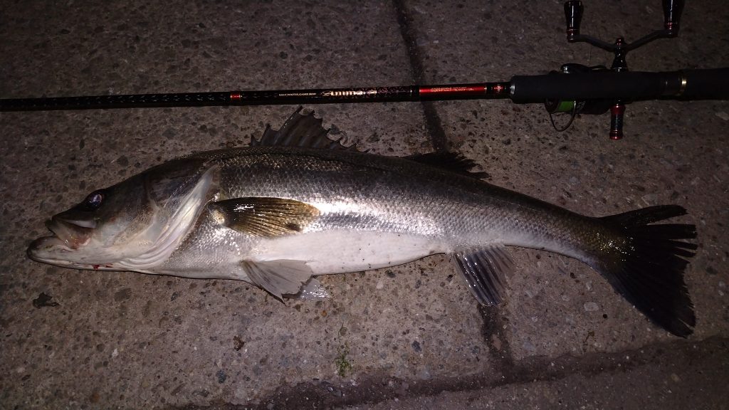 T&A前田慎悟様のレポート