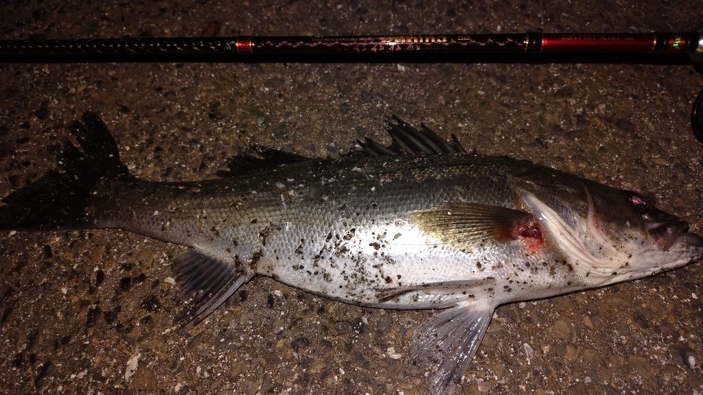 T&A前田慎悟様のレポート