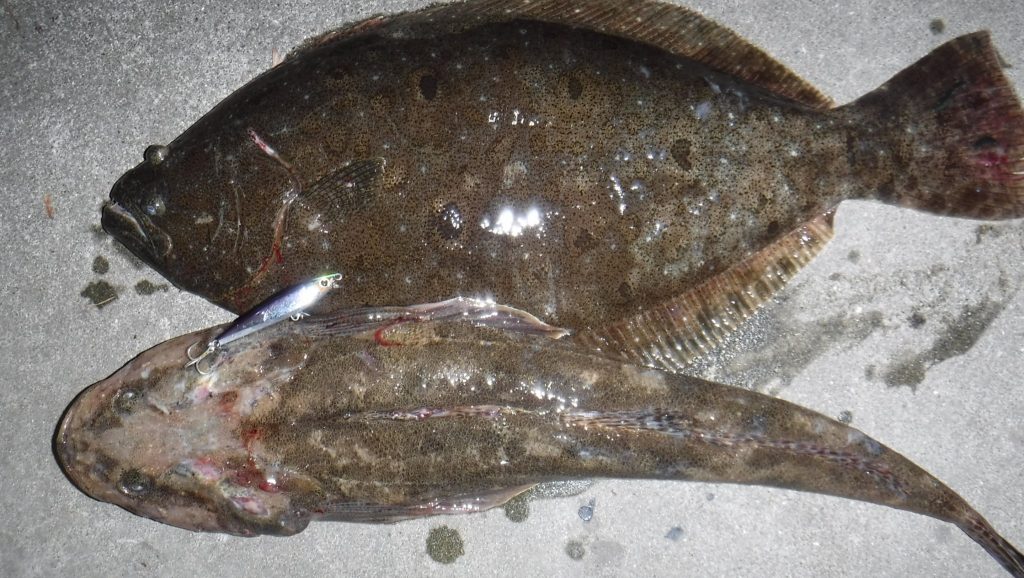 T＆A白澤政記様のレポート