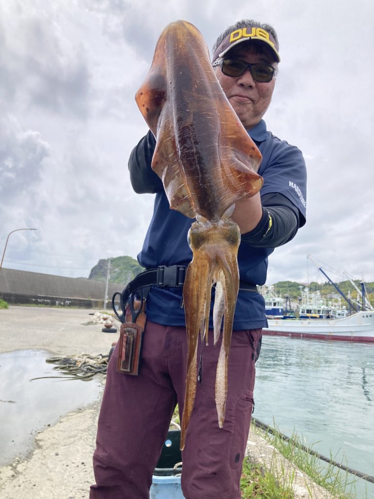 T＆A白澤政記様のレポート