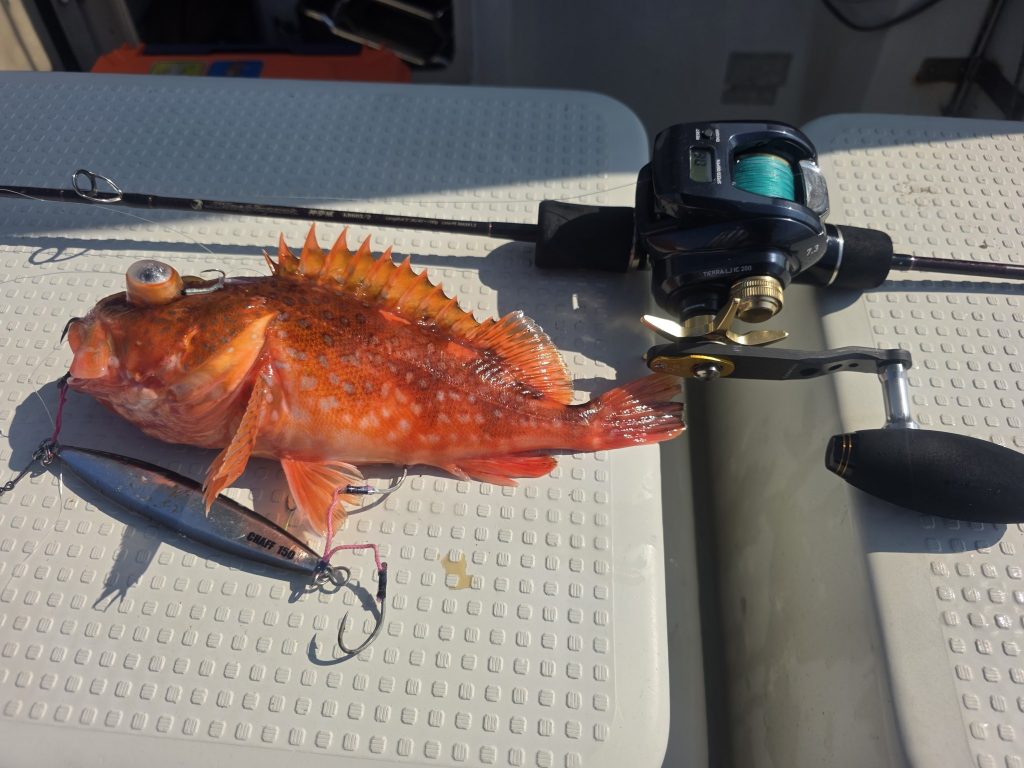 T&A平野和弘様のレポート