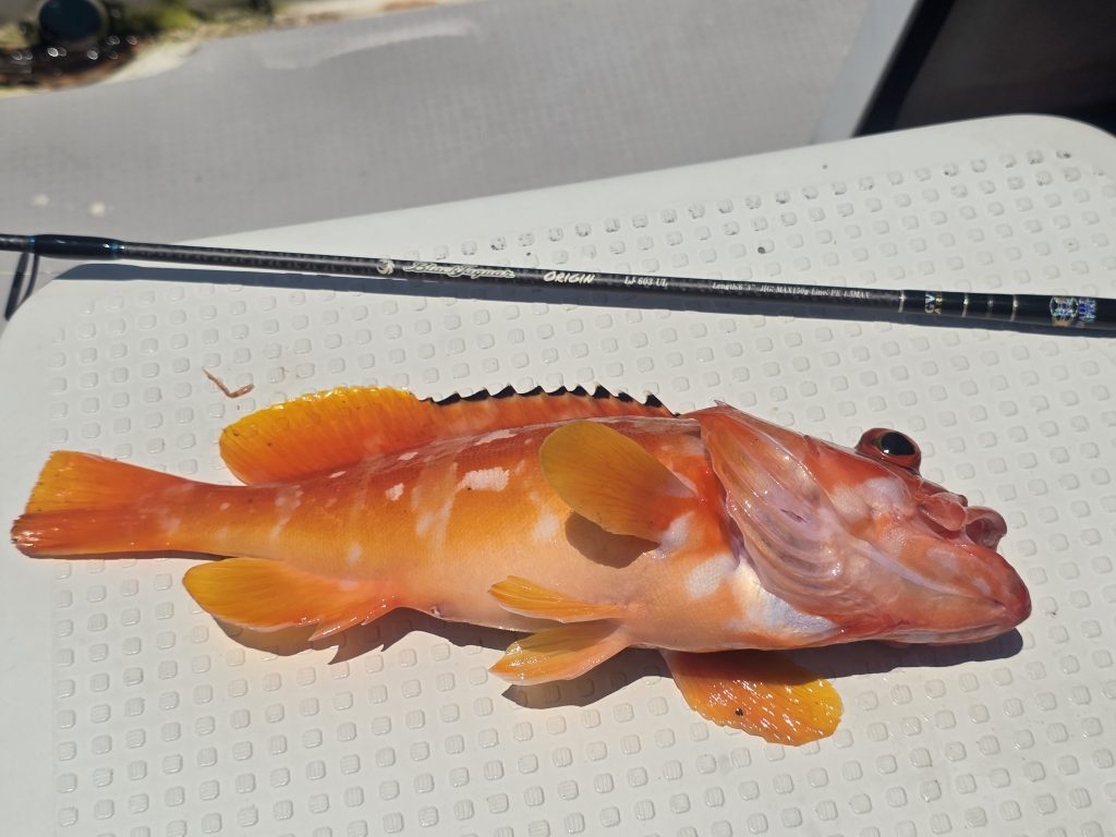 T&A平野和弘様のレポート