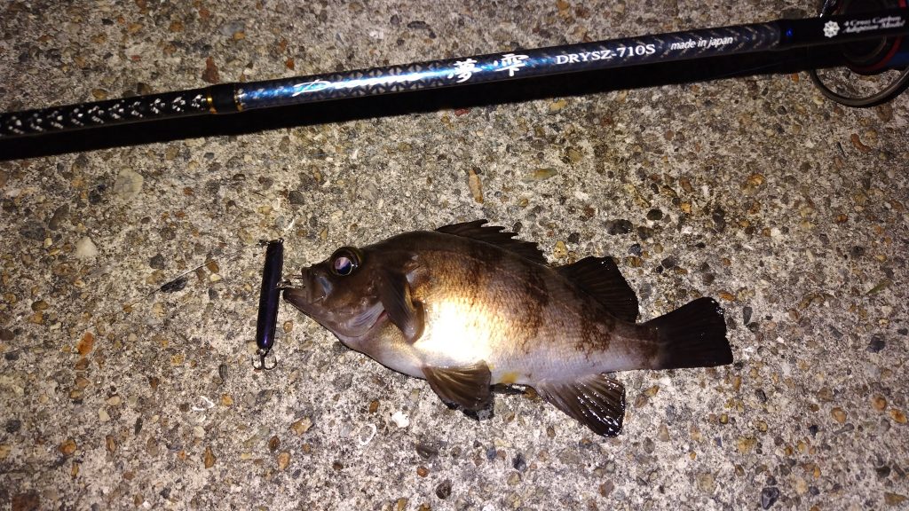 T&A前田慎悟様のレポート