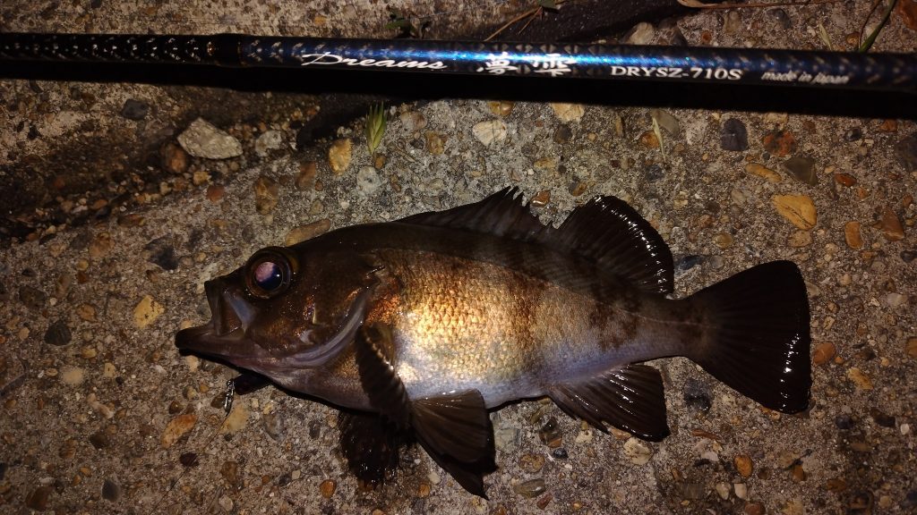 T&A前田慎悟様のレポート