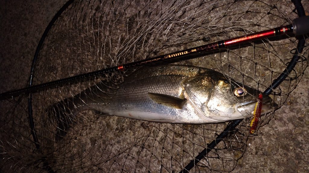 T&A前田慎悟様のレポート