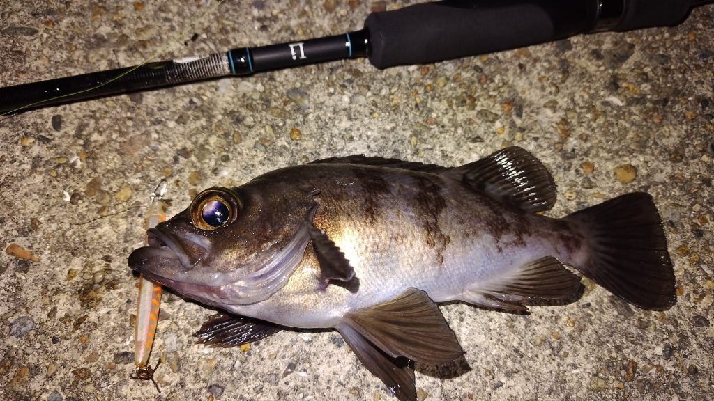 T&A前田慎悟様のレポート