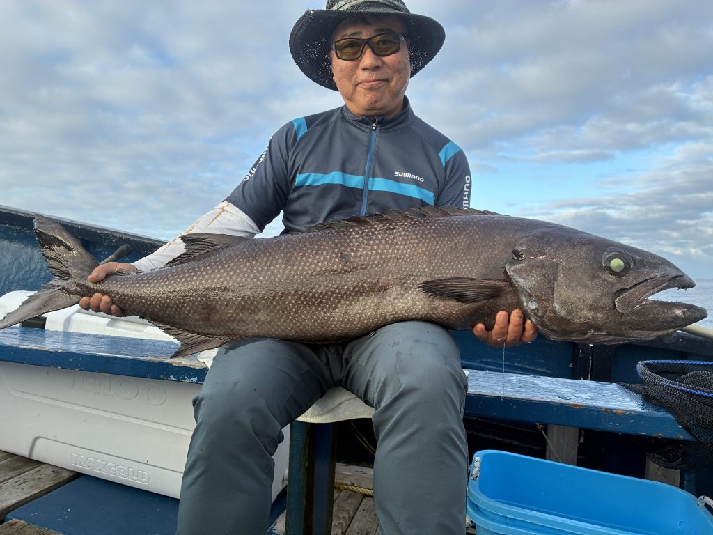 T＆A白澤政記様のレポート