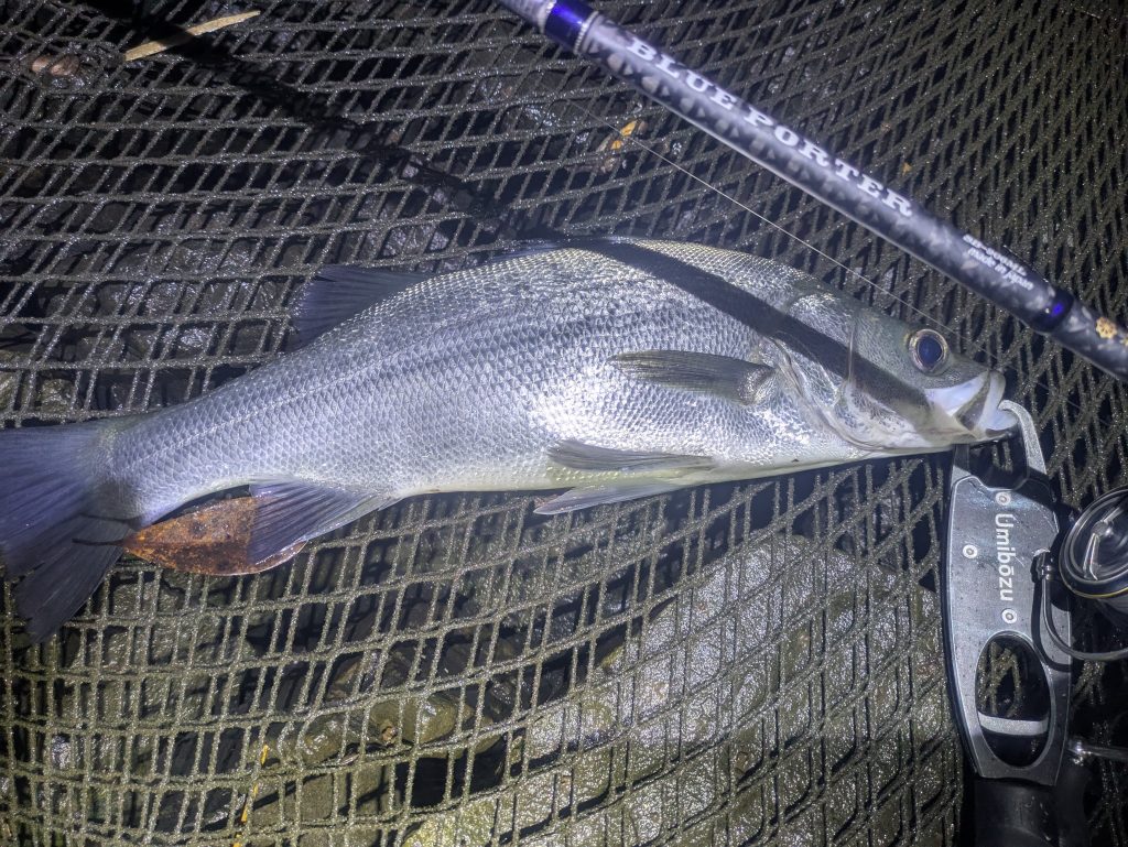 えがしらまさお様のレポート