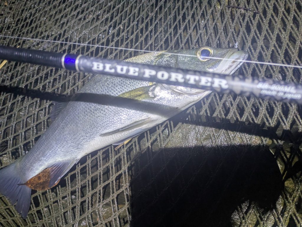 えがしらまさお様のレポート