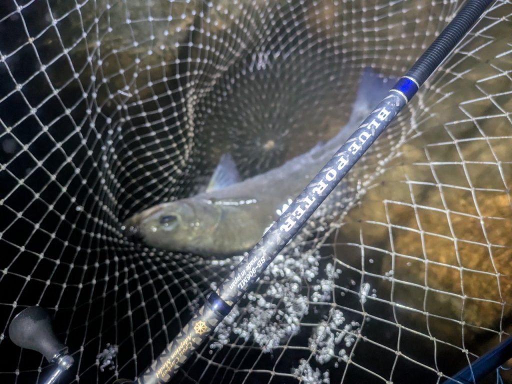 えがしらまさお様のレポート