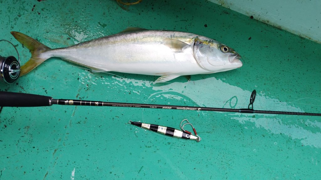 T&A前田慎悟様のレポート