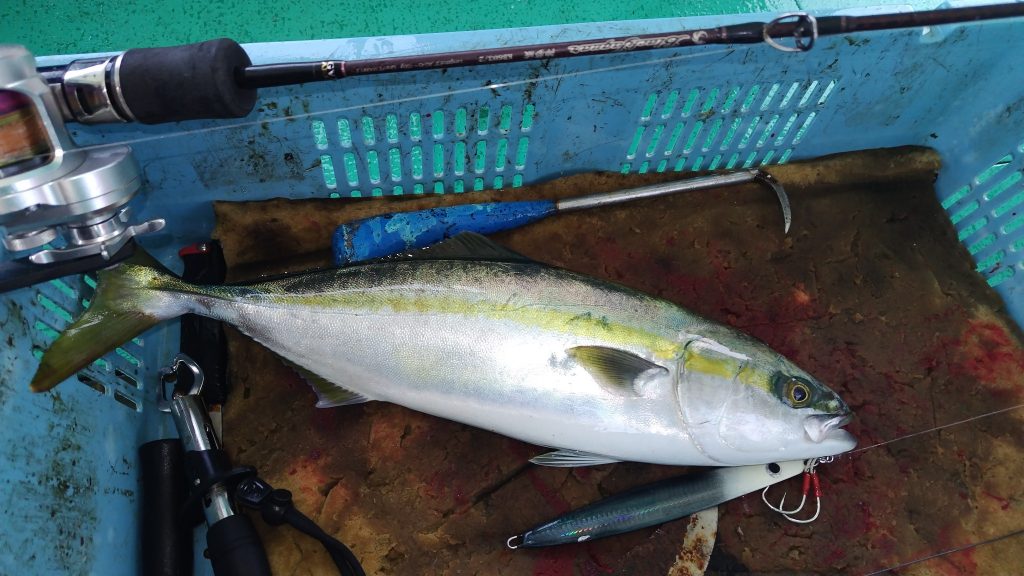 T&A前田慎悟様のレポート