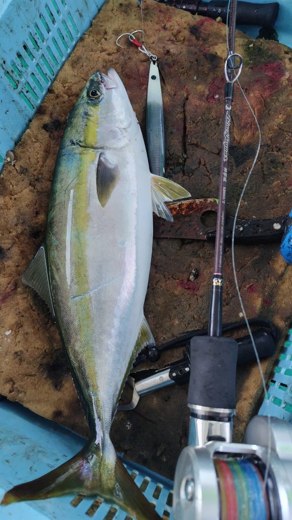 T&A前田慎悟様のレポート