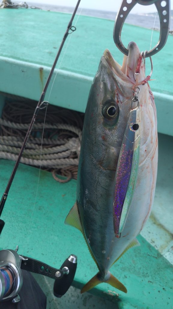 T&A前田慎悟様のレポート