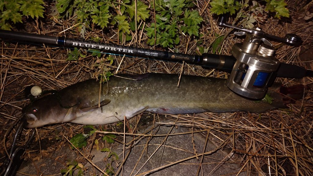 T&A前田慎悟様のレポート