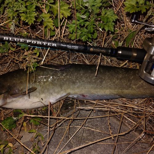 T&A前田慎悟様のレポート