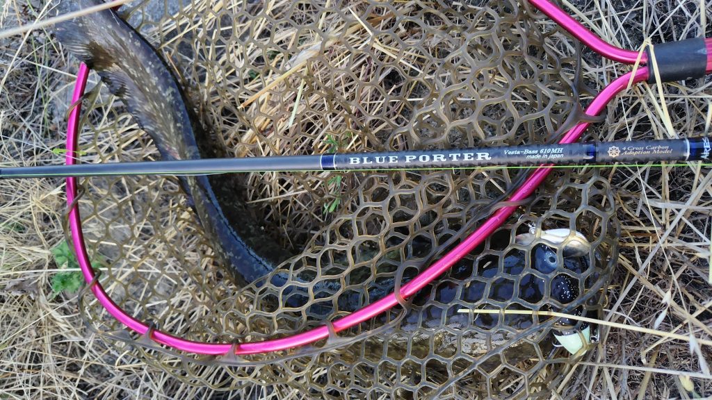 T&A前田慎悟様のレポート