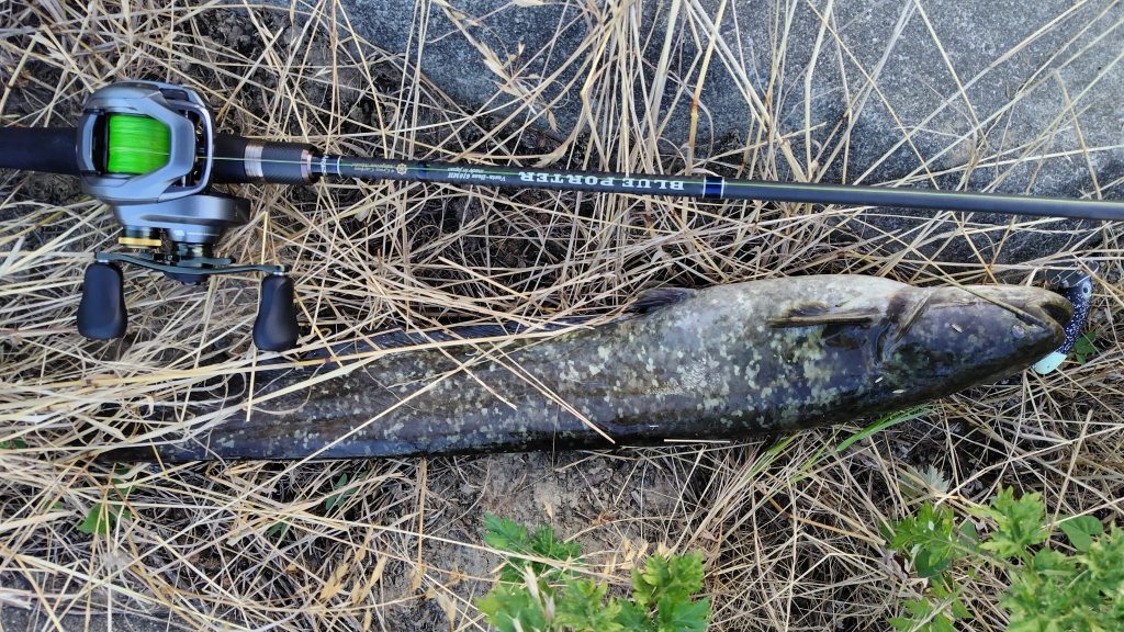 T&A前田慎悟様のレポート