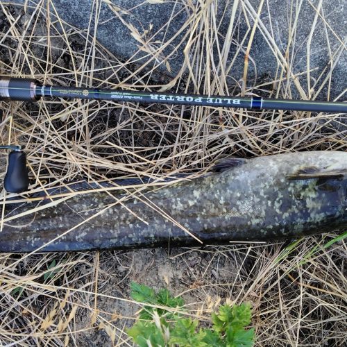 T&A前田慎悟様のレポート