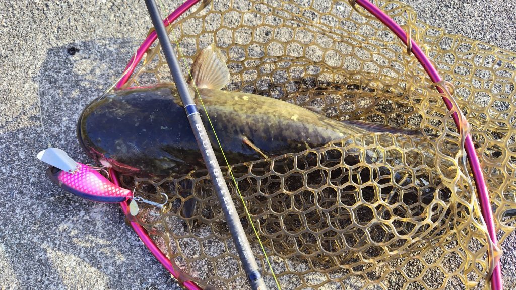 T&A前田慎悟様のレポート