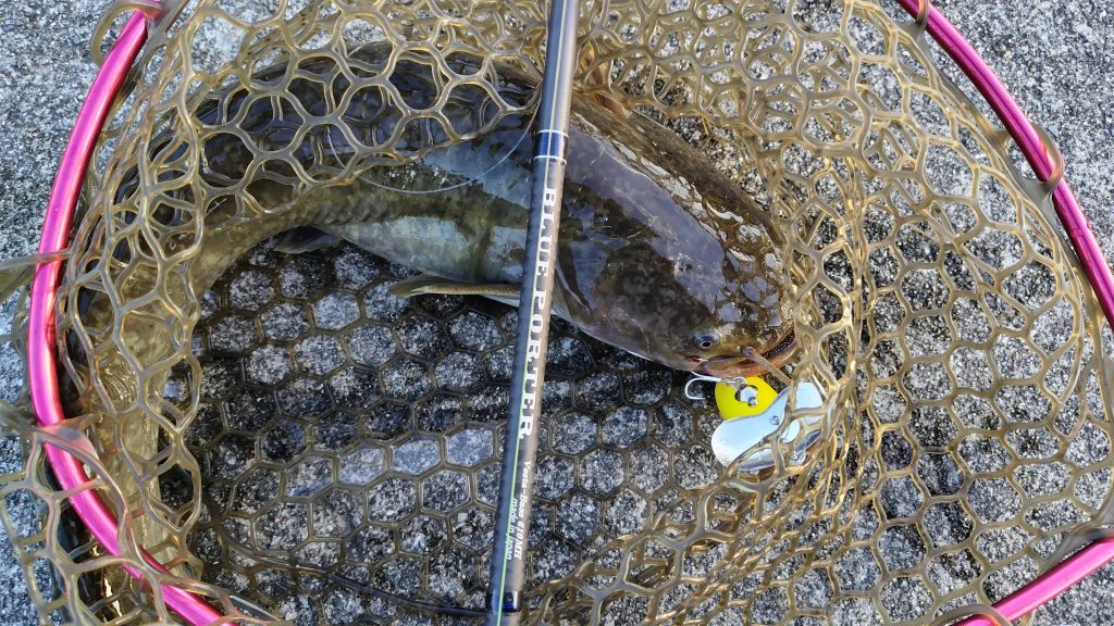 T&A前田慎悟様のレポート