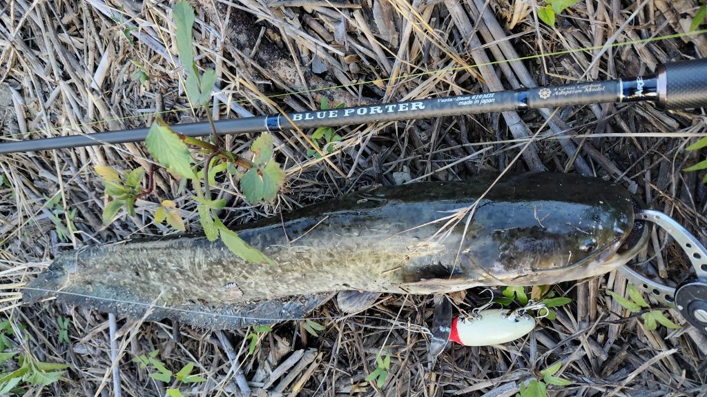 T&A前田慎悟様のレポート