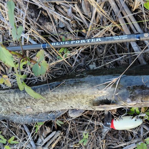 T&A前田慎悟様のレポート