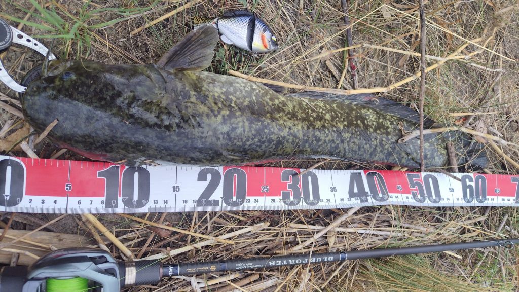 T&A前田慎悟様のレポート