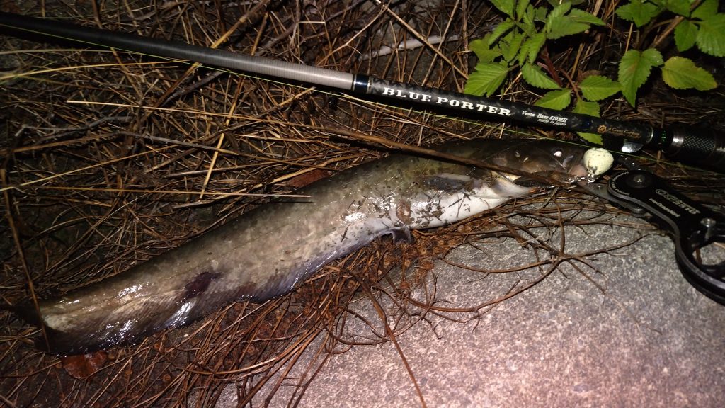 T&A前田慎悟様のレポート