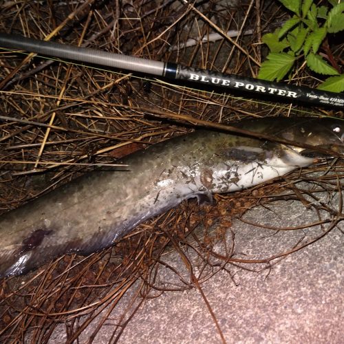 T&A前田慎悟様のレポート