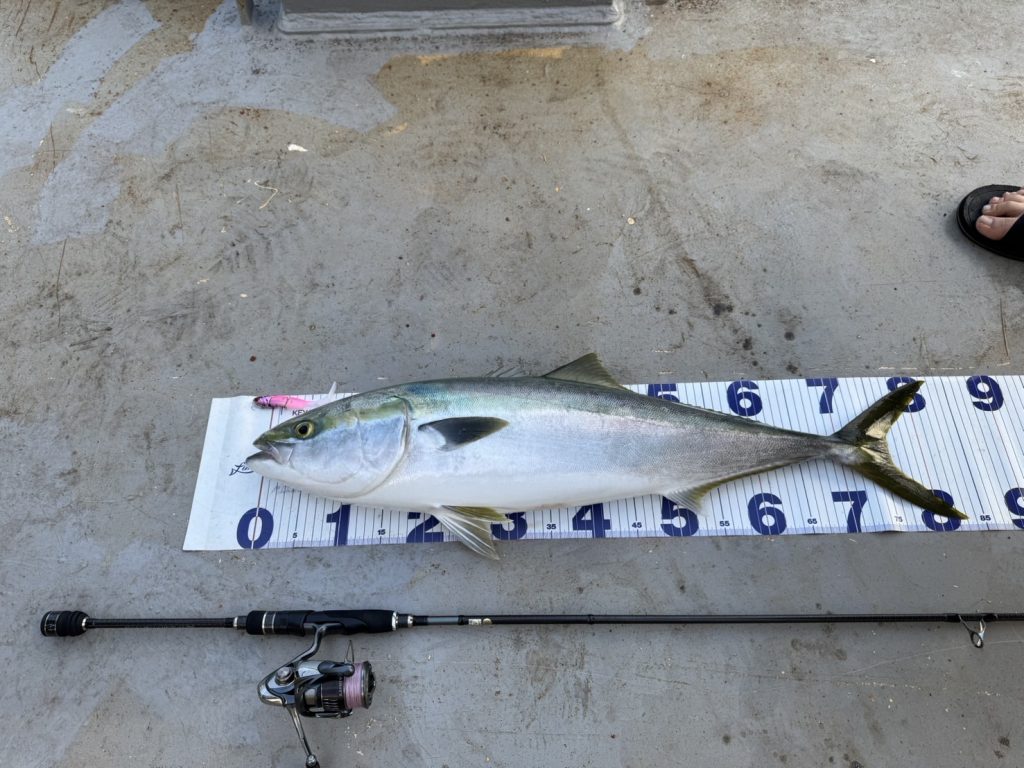 ゆきまる様のレポート