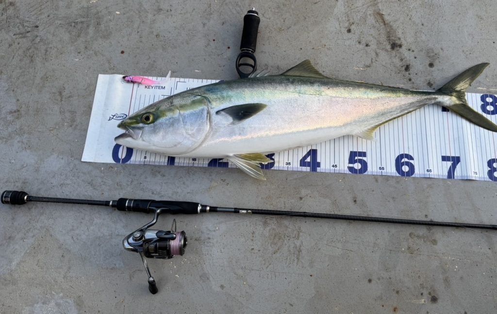 ゆきまる様のレポート